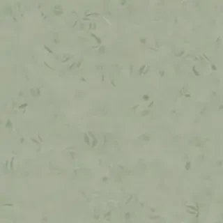sage green backround