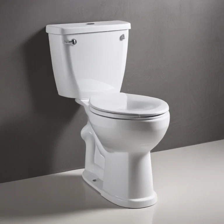 toilet png