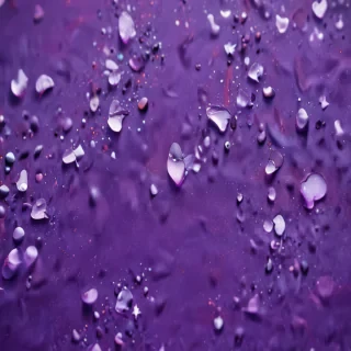 cute purple background
