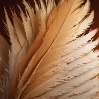feather background