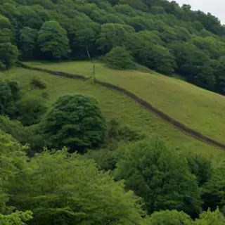 hill png