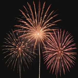fireworks png transparent