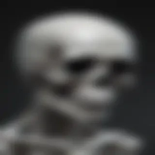 skeleton iphone wallpaper
