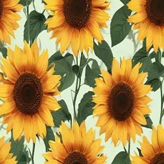 sunflower backgrounds aesthetic