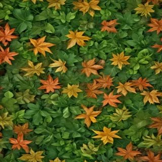 leaf backgrounds
