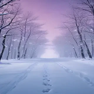 winter wallpaper iphone