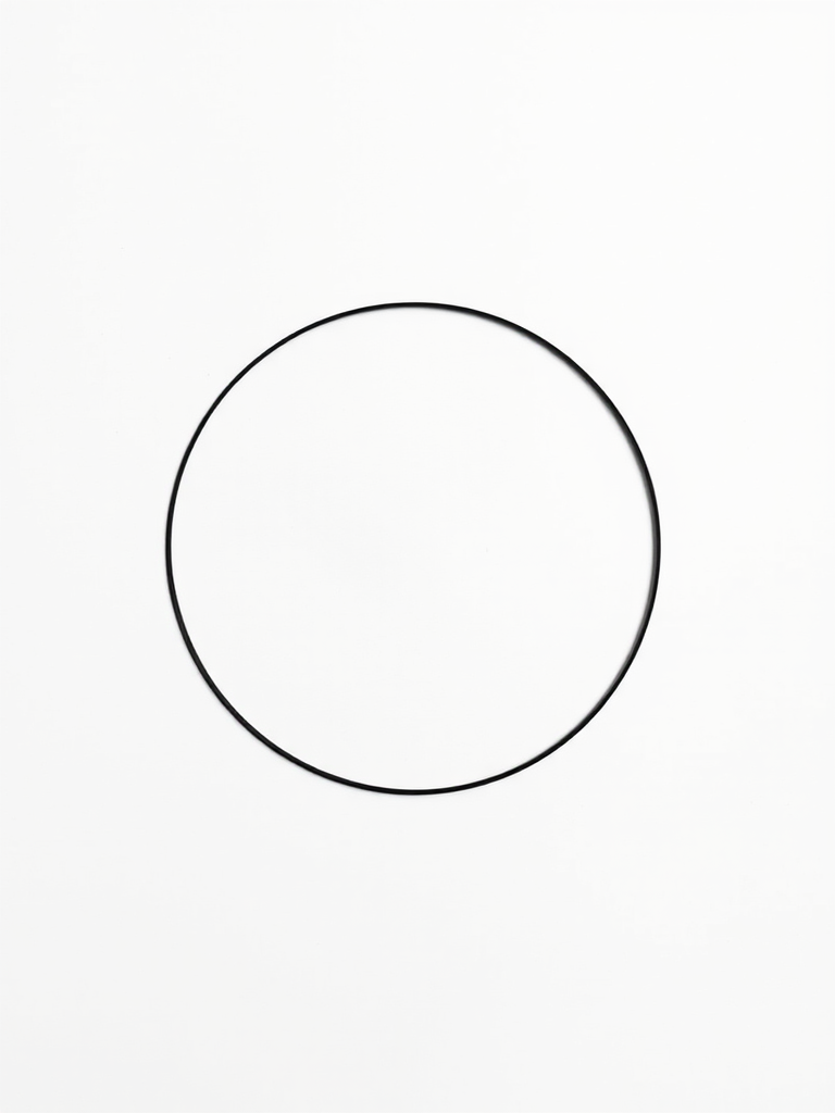 Create a minimalist black circle on a white background, using a Canon EOS R5 camera, with aperture set to f/2.8, ISO 100, shutter speed 1/125s, top-down view, with a crisp and sharp focus on the circle to enhance image quality.
