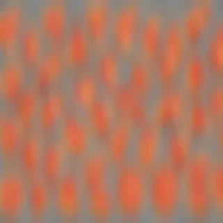 pizza clipart transparent background