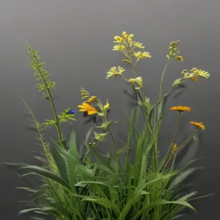 weeds png
