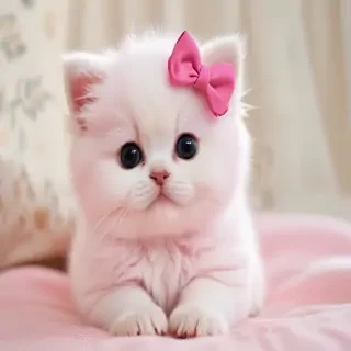 pink cute pictures