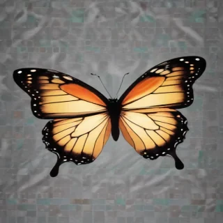 transparent butterfly png