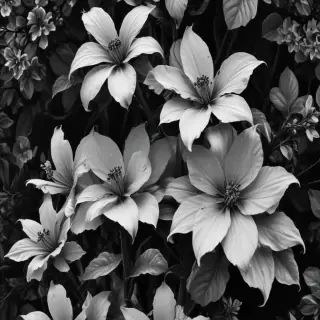 black and white wallpaper iphone