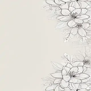 transparent flower border