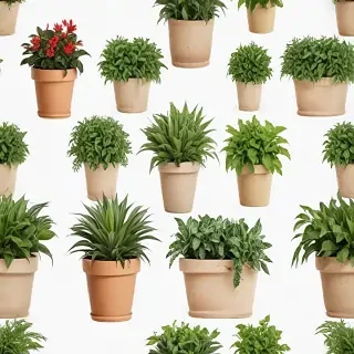 potted plants png