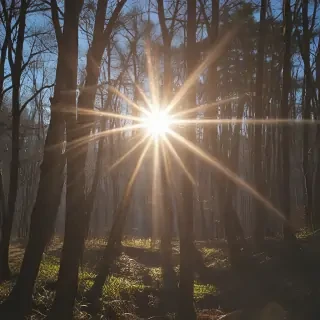 lens flare