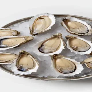 oysters png