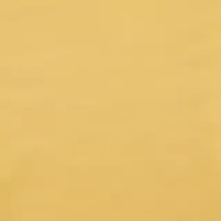 aesthetic yellow bg