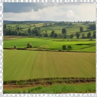 farmland png