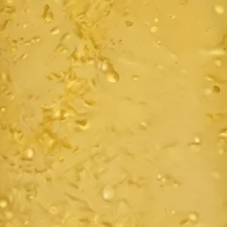 plain yellow bg