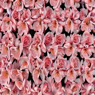 flowers aesthetic