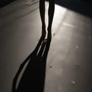 shadow transparent