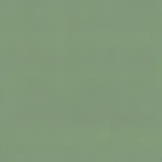 plain green bg