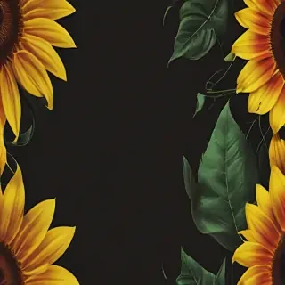 sunflower iphone background