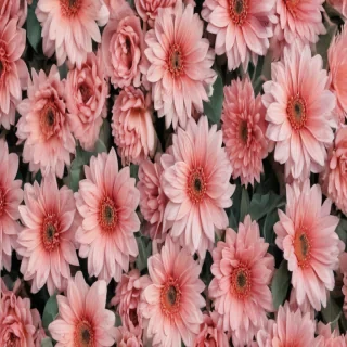 aesthetic flower wallpaper
