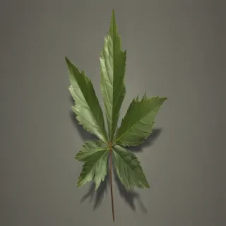 pot leaf png