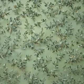 sage green bg