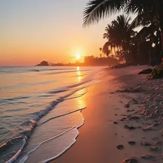 summer background iphone