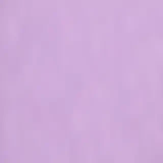 pastel purple background