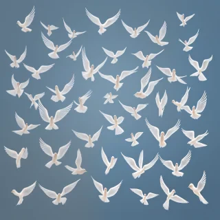 transparent birds