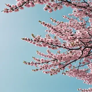 spring aesthetic desktop wallpaper