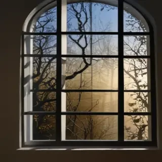 shadow window