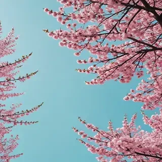 aesthetic spring wallpaper