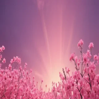 background pink cute