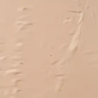 beige background aesthetic