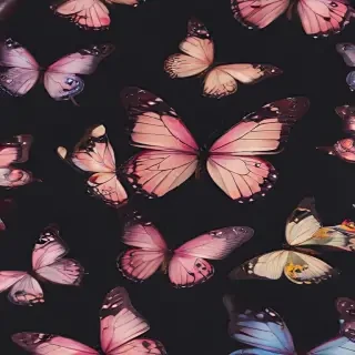aesthetic butterfly background