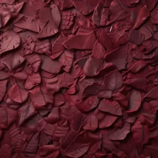 maroon aesthetic