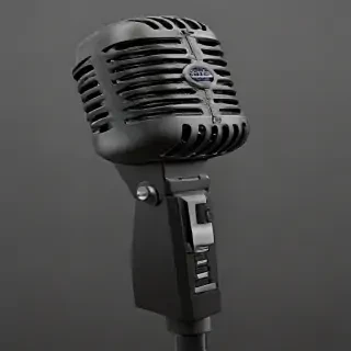 microphone .png