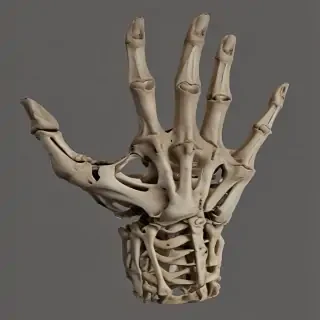 skeleton hands png