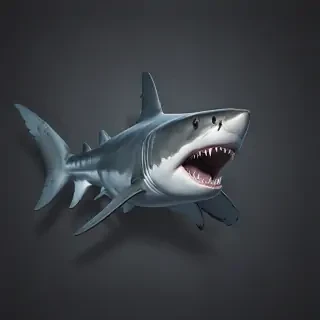 shark backgrounds
