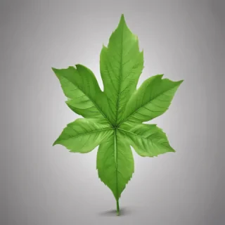 green leaf png