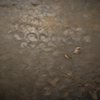 rough textures