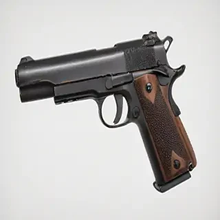 gun with no background