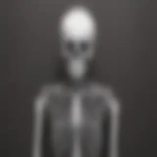 creative skeleton drawings