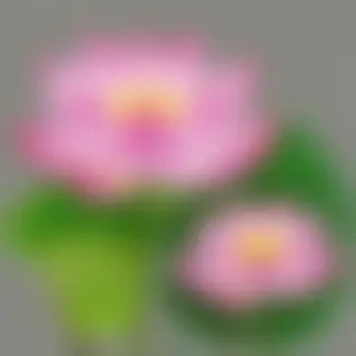 lotus flower png