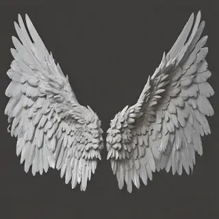 angel wings png