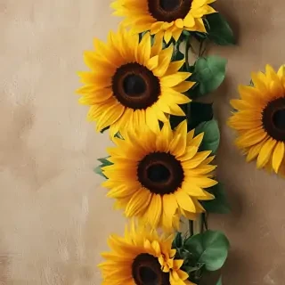 sunflower wallpaper iphone